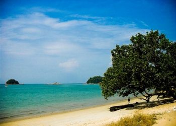 The Essential Guide To A Pain Free Family Holiday