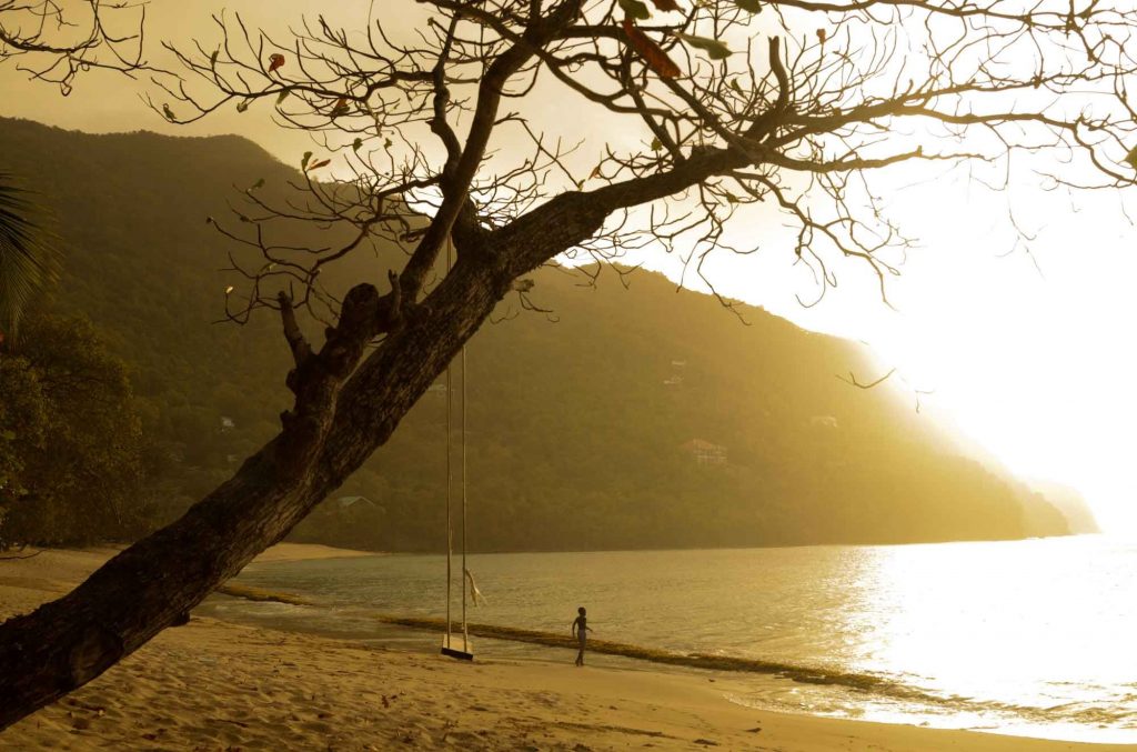 The Caribbean paradise - Bequia - where luxury holiday homes are for sale in Bitcoin and everything from beer to sailing lessons can be bought in the currency