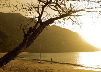 The Caribbean paradise - Bequia - where luxury holiday homes are for sale in Bitcoin and everything from beer to sailing lessons can be bought in the currency